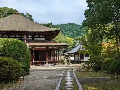法界寺(日野薬師)(京都府)