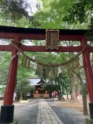 氷川女體神社(埼玉県)