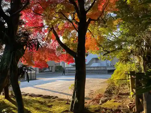 伊勢の国 四天王寺の自然
