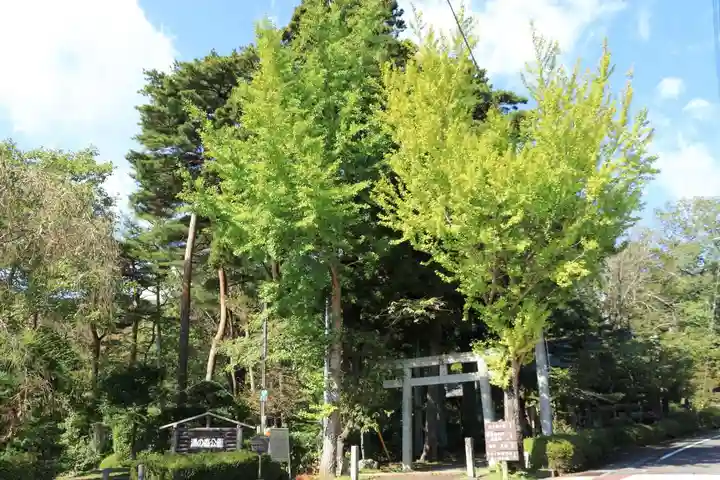岳温泉神社 の鳥居