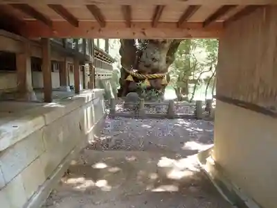 狭野神社のその他建物