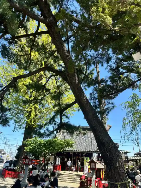 鴻神社の{uncategorized: "未分類", other: "その他", undefined: "問題あり", building: "その他建物", grave: "お墓", sacred_gate: "鳥居", guardian: "狛犬", statue: "像", buddha: "仏像", history: "歴史", nature: "自然", garden: "庭園", animal: "動物", pagoda: "塔", temizu: "手水舎", mountain_gate: "山門・神門", sanctuary: "本殿・本堂", subordinate: "末社・摂社", art: "芸術", scenery: "景色", jizo: "地蔵", ema: "絵馬", goshuin: "御朱印", omikuji: "おみくじ", items: "授与品その他", amulet: "お守り", goshuincho: "御朱印帳", eats: "食事", festival: "お祭り", votive_dance: "神楽", shichigosan: "七五三参", wedding: "結婚式", experience: "体験その他", initially: "初詣", around: "周辺", anti_infection: "感染症対策"}