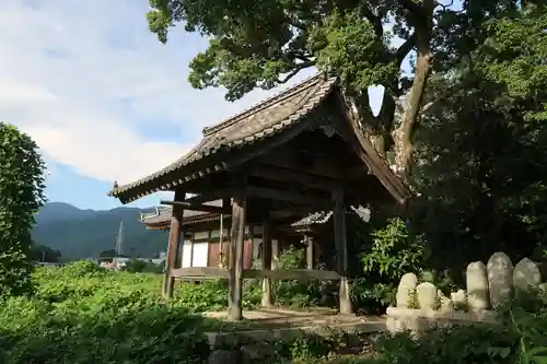國分寺（国分寺）(京都府)