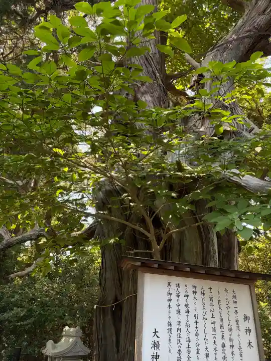 大瀬神社の{uncategorized: "未分類", other: "その他", undefined: "問題あり", building: "その他建物", grave: "お墓", sacred_gate: "鳥居", guardian: "狛犬", statue: "像", buddha: "仏像", history: "歴史", nature: "自然", garden: "庭園", animal: "動物", pagoda: "塔", temizu: "手水舎", mountain_gate: "山門・神門", sanctuary: "本殿・本堂", subordinate: "末社・摂社", art: "芸術", scenery: "景色", jizo: "地蔵", ema: "絵馬", goshuin: "御朱印", omikuji: "おみくじ", items: "授与品その他", amulet: "お守り", goshuincho: "御朱印帳", eats: "食事", festival: "お祭り", votive_dance: "神楽", shichigosan: "七五三参", wedding: "結婚式", experience: "体験その他", initially: "初詣", around: "周辺", anti_infection: "感染症対策"}