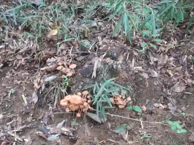 遍照寺(埼玉県)