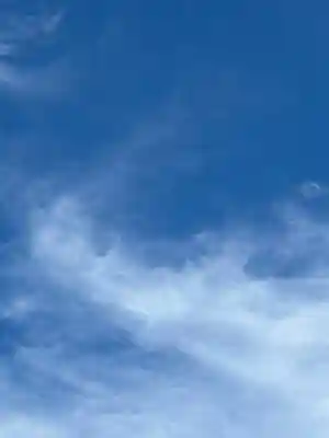 滝野川八幡神社(東京都)