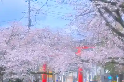 富士山本宮浅間大社(静岡県)