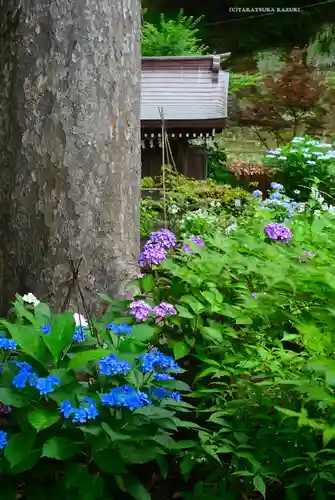 瀬戸神社(神奈川県)
