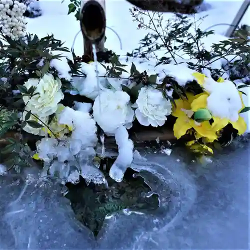 陽林寺の手水