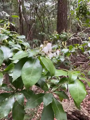 尾張冨士大宮浅間神社(愛知県)