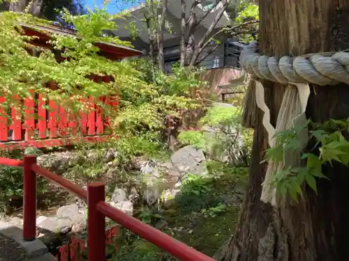 秩父神社の庭園