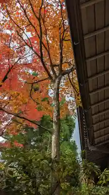 光悦寺(京都府)
