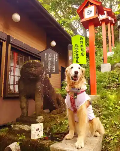 熊野皇大神社の動物