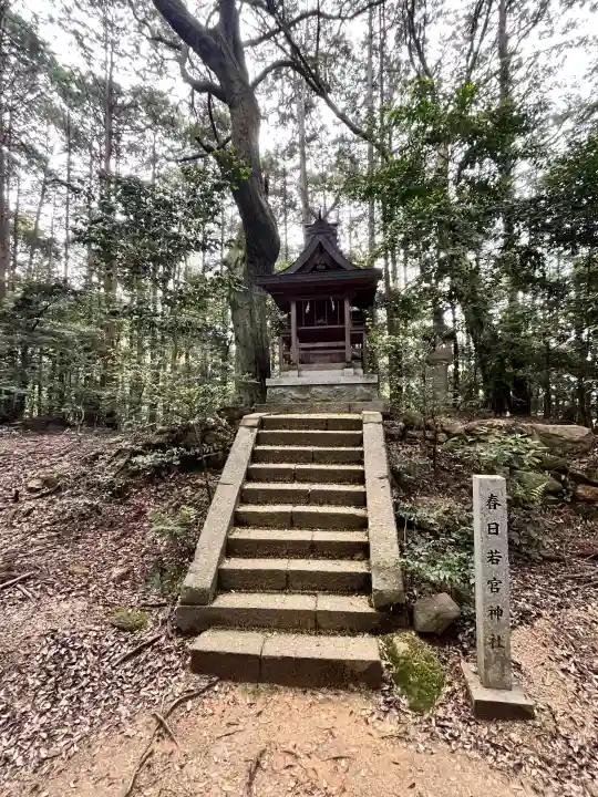 春日若宮神社(當麻山口神社末社)の{uncategorized: "未分類", other: "その他", undefined: "問題あり", building: "その他建物", grave: "お墓", sacred_gate: "鳥居", guardian: "狛犬", statue: "像", buddha: "仏像", history: "歴史", nature: "自然", garden: "庭園", animal: "動物", pagoda: "塔", temizu: "手水舎", mountain_gate: "山門・神門", sanctuary: "本殿・本堂", subordinate: "末社・摂社", art: "芸術", scenery: "景色", jizo: "地蔵", ema: "絵馬", goshuin: "御朱印", omikuji: "おみくじ", items: "授与品その他", amulet: "お守り", goshuincho: "御朱印帳", eats: "食事", festival: "お祭り", votive_dance: "神楽", shichigosan: "七五三参", wedding: "結婚式", experience: "体験その他", initially: "初詣", around: "周辺", anti_infection: "感染症対策"}