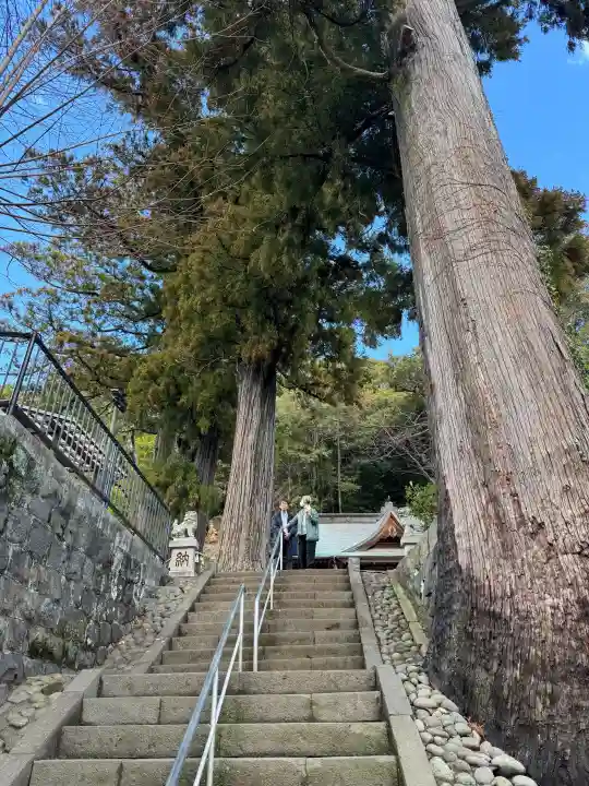 日枝神社の{uncategorized: "未分類", other: "その他", undefined: "問題あり", building: "その他建物", grave: "お墓", sacred_gate: "鳥居", guardian: "狛犬", statue: "像", buddha: "仏像", history: "歴史", nature: "自然", garden: "庭園", animal: "動物", pagoda: "塔", temizu: "手水舎", mountain_gate: "山門・神門", sanctuary: "本殿・本堂", subordinate: "末社・摂社", art: "芸術", scenery: "景色", jizo: "地蔵", ema: "絵馬", goshuin: "御朱印", omikuji: "おみくじ", items: "授与品その他", amulet: "お守り", goshuincho: "御朱印帳", eats: "食事", festival: "お祭り", votive_dance: "神楽", shichigosan: "七五三参", wedding: "結婚式", experience: "体験その他", initially: "初詣", around: "周辺", anti_infection: "感染症対策"}