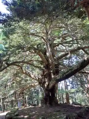 真山神社(秋田県)