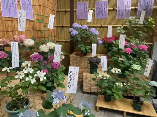 十番稲荷神社のその他建物