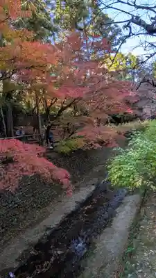 北野天満宮(京都府)