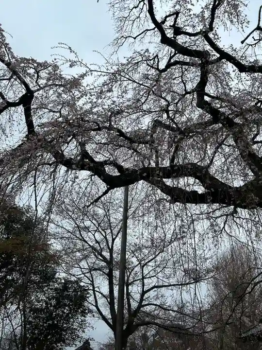 阿弥陀寺のその他建物