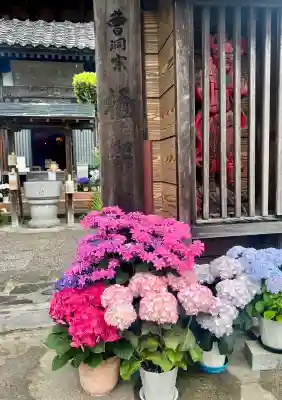 極楽寺(静岡県)