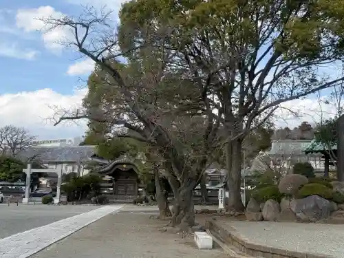 時宗総本山 遊行寺（正式：清浄光寺）の{uncategorized: "未分類", other: "その他", undefined: "問題あり", building: "その他建物", grave: "お墓", sacred_gate: "鳥居", guardian: "狛犬", statue: "像", buddha: "仏像", history: "歴史", nature: "自然", garden: "庭園", animal: "動物", pagoda: "塔", temizu: "手水舎", mountain_gate: "山門・神門", sanctuary: "本殿・本堂", subordinate: "末社・摂社", art: "芸術", scenery: "景色", jizo: "地蔵", ema: "絵馬", goshuin: "御朱印", omikuji: "おみくじ", items: "授与品その他", amulet: "お守り", goshuincho: "御朱印帳", eats: "食事", festival: "お祭り", votive_dance: "神楽", shichigosan: "七五三参", wedding: "結婚式", experience: "体験その他", initially: "初詣", around: "周辺", anti_infection: "感染症対策"}