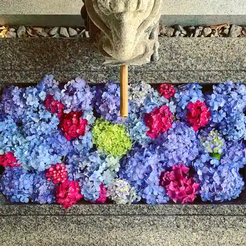 滑川神社 - 仕事と子どもの守り神の手水