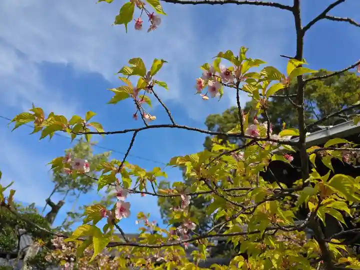 意賀美神社(大阪府)