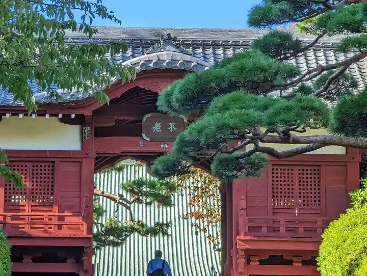 護国寺(東京都)