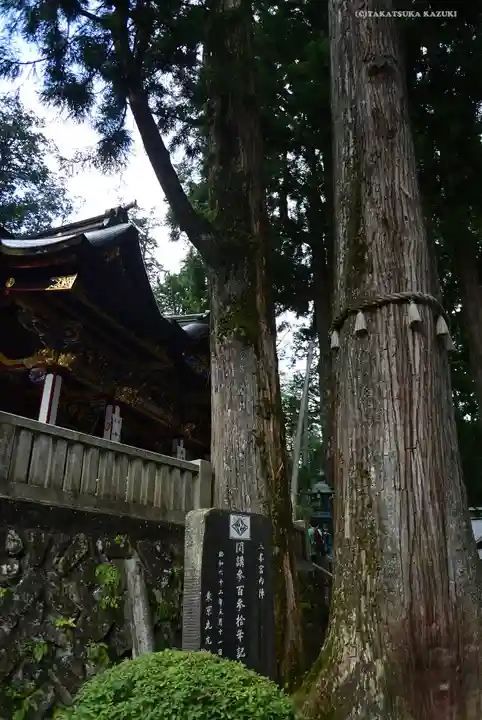 三峯神社の自然
