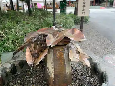 櫻木神社(千葉県)