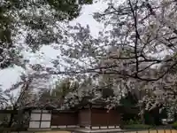 阿佐ヶ谷神明宮(東京都)