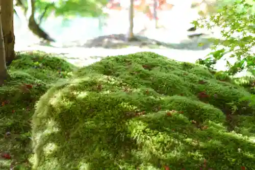 禅林寺（永観堂）(京都府)