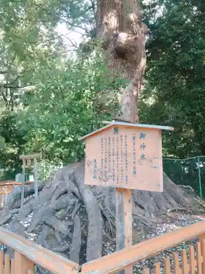 和泉國一之宮　大鳥大社(大阪府)