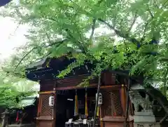 天孫神社(滋賀県)