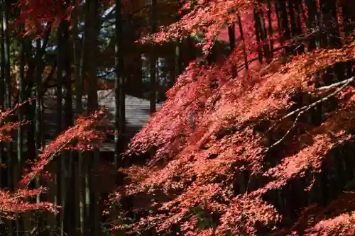 満願寺の景色