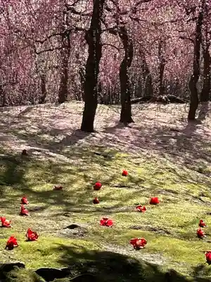 城南宮(京都府)