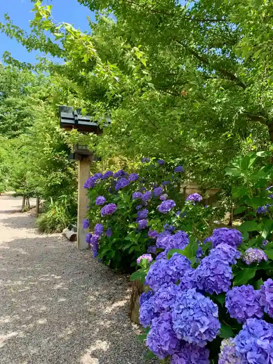 櫛田神社の{uncategorized: "未分類", other: "その他", undefined: "問題あり", building: "その他建物", grave: "お墓", sacred_gate: "鳥居", guardian: "狛犬", statue: "像", buddha: "仏像", history: "歴史", nature: "自然", garden: "庭園", animal: "動物", pagoda: "塔", temizu: "手水舎", mountain_gate: "山門・神門", sanctuary: "本殿・本堂", subordinate: "末社・摂社", art: "芸術", scenery: "景色", jizo: "地蔵", ema: "絵馬", goshuin: "御朱印", omikuji: "おみくじ", items: "授与品その他", amulet: "お守り", goshuincho: "御朱印帳", eats: "食事", festival: "お祭り", votive_dance: "神楽", shichigosan: "七五三参", wedding: "結婚式", experience: "体験その他", initially: "初詣", around: "周辺", anti_infection: "感染症対策"}