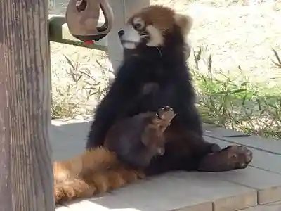 誠照寺(福井県)