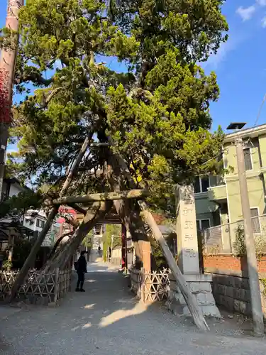 荏柄天神社(神奈川県)