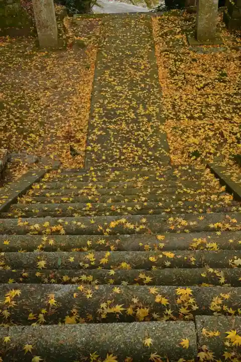 善福寺(山田薬師)(愛媛県)