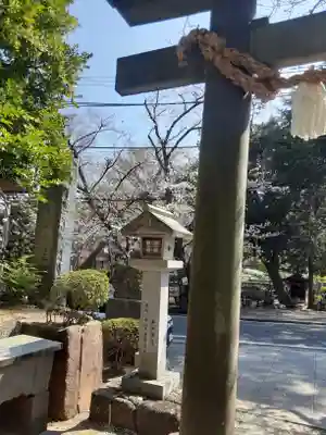 師岡熊野神社(神奈川県)