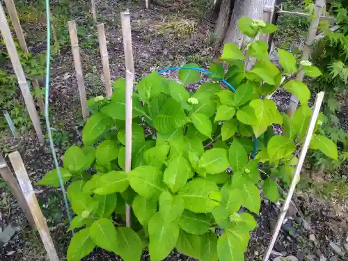 阿智神社(岡山県)