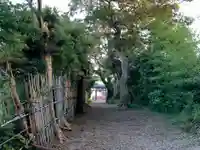 吾妻神社の自然