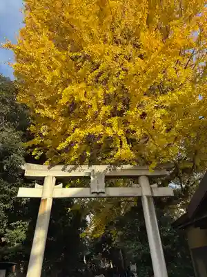 一山神社(埼玉県)