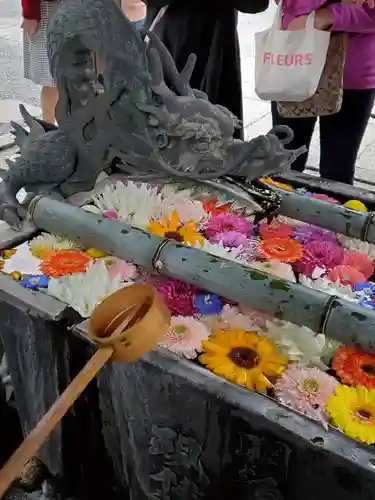 柳谷観音　楊谷寺の手水舎