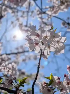 鳩森八幡神社(東京都)