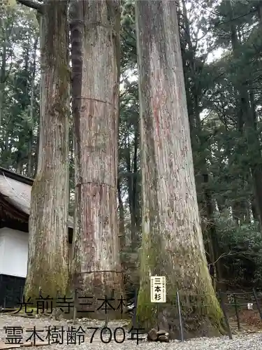 宝積山光前寺の自然