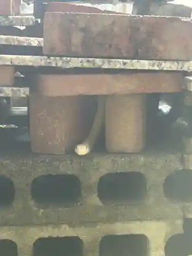 岩国白蛇神社の御朱印