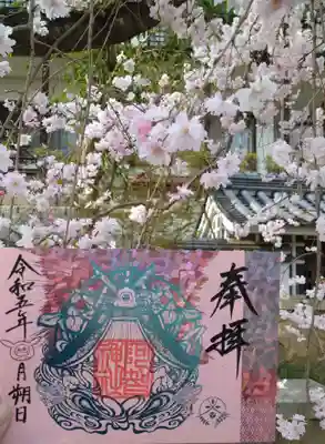 
桜と箔押し御朱印🌸



