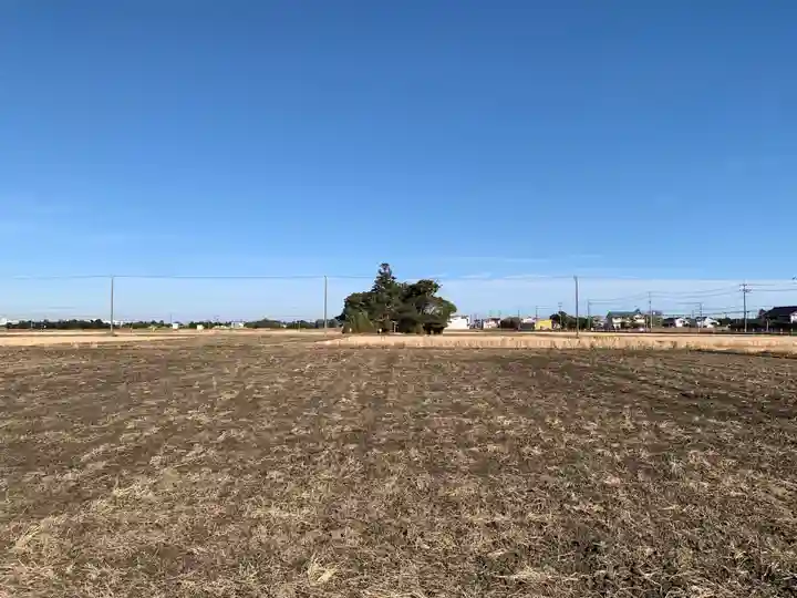 若宮八幡神社(千葉県)